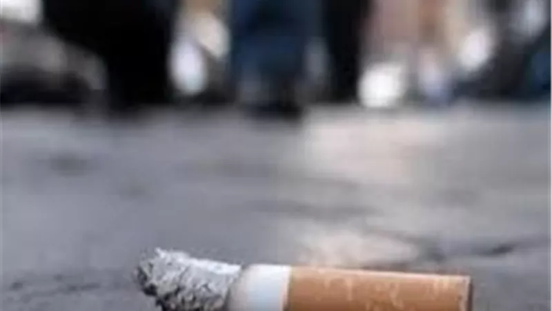 عقب سيجارة يتسبب في حريق بجوار مشتل نباتات بمنشأة القناطر
