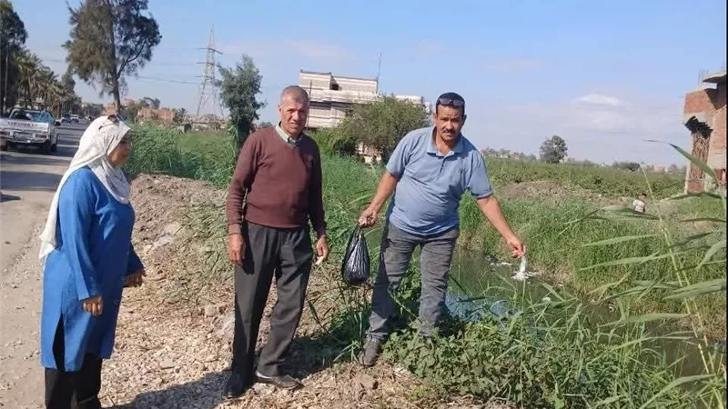 إزالة 47 حالة بناء على أملاك الدولة واسترداد 80 أخرى في الشرقية
