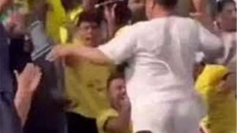 18 نوفمبر.. النطق بالحكم على مشجع نادي مالية كفر الزيات بعد واقعة “الرقص في المدرجات