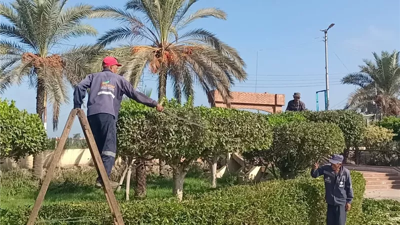 استعدادات مكثفة لمولد سيدي ابراهيم الدسوقى بكفرالشيخ .. تعرف عليها 