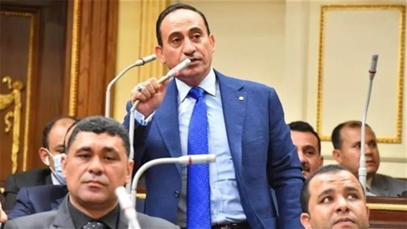في ظل الغلاء.. نائب يُحرّك المياه الراكدة: هل اختفى المجلس القومي للأجور؟