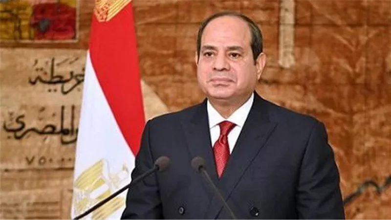 استقبال شعبي للرئيس السيسي فور وصوله لمقر إقامته في بروكسيل|فيديو 