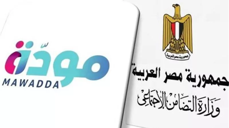 «مودة».. برنامج وطني لتعزيز الأسرة المصرية وبناء جيل مستقر