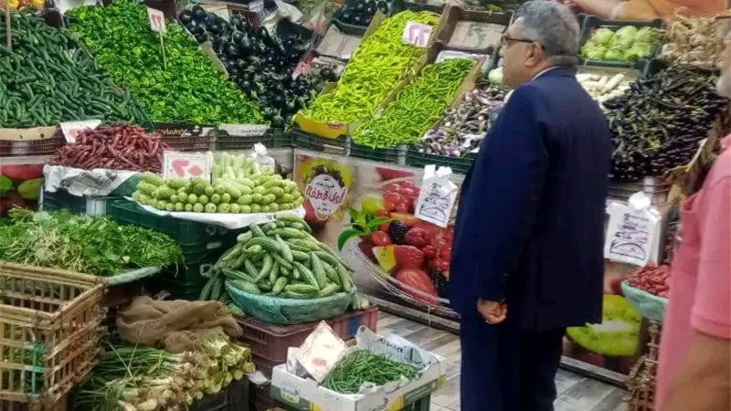 محافظ الدقهلية يتفقد منافذ بيع السلع الغذائية ويشدد على الالتزام بالأسعار