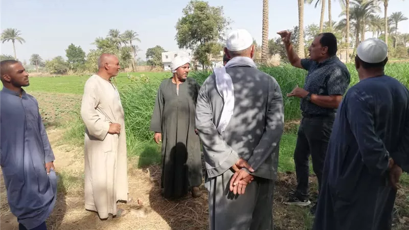 ندوات إرشادية وزيارات حقلية بديابية بني سويف 
