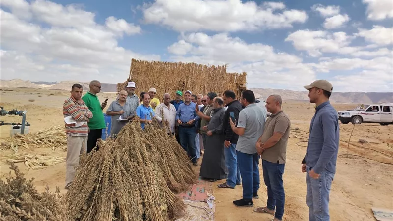 مركز بحوث الصحراء ينظم زيارات ميدانية لسيناء ضمن مبادرة «اسأل واستشير»