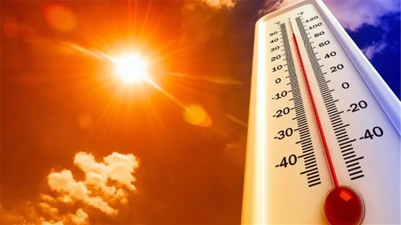 حالة الطقس اليوم السبت 25 أكتوبر 2025 في مصر.. شبورة وحرارة مرتفعة  