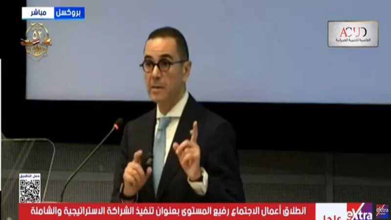وزير الاستثمار يستعرض جهود مصر في تحسين بيئة الأعمال أمام الاتحاد الأوروبي|فيديو