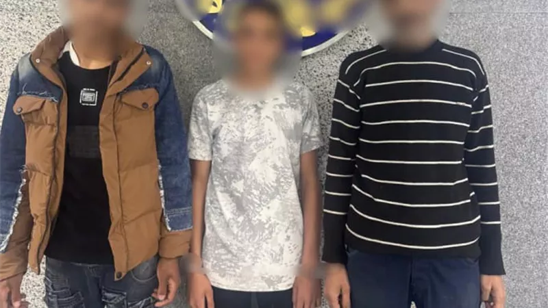 خلافات الجيرة.. أمن القليوبية يكشف ملابسات مشاجرة بنها 