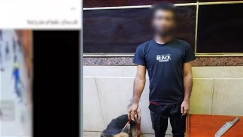 فيديو يثير الجدل بالجيزة.. كلب شرس وسلاح أبيض و«الداخلية» تتحرك