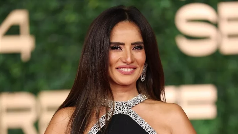 قرار جديد من النيابة في واقعة هجوم كلب على نجلي الفنانة زينة بالشيخ زايد