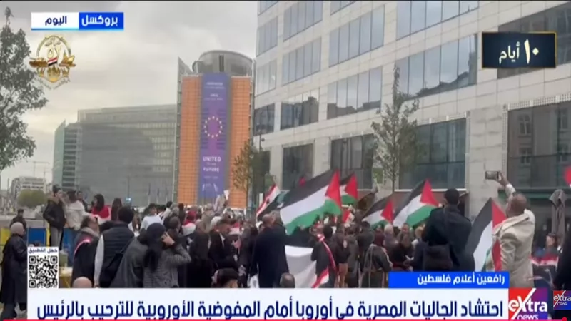 احتشاد المصريين في أوروبا لاستقبال السيسي يعكس رمزية المشاركة التاريخية|فيديو