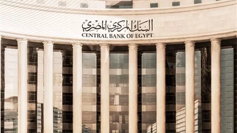 أعباء الإنتاج تعطل استفادة أسعار الدواجن من تثبيت الفائدة |خاص