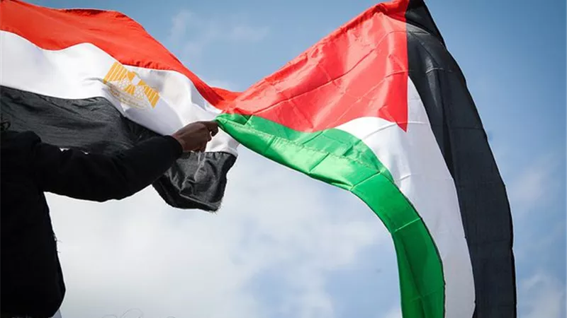 من غزة إلى أوروبا.. مصر تمهد طريق استثماري لاستعادة نفوذها|خاص