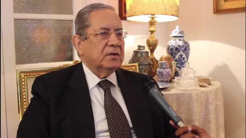 مساعد وزير الخارجية الأسبق: الاستثمار في اقتصادية قناة السويس خيار ذكي|فيديو