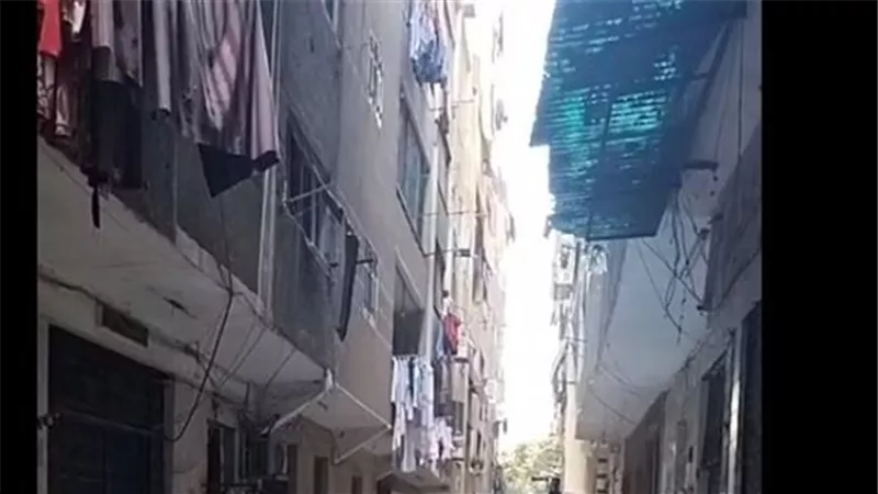 إحالة أوراق مهندس «مذبحة حدائق المعادي» إلى المفتى 