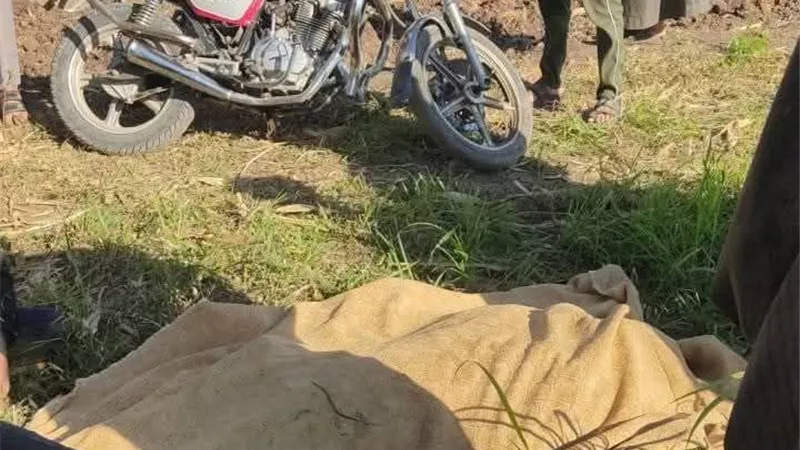 «عصفور طار».. لحظة تهور تنهي حياة خط الصعيد الجديد