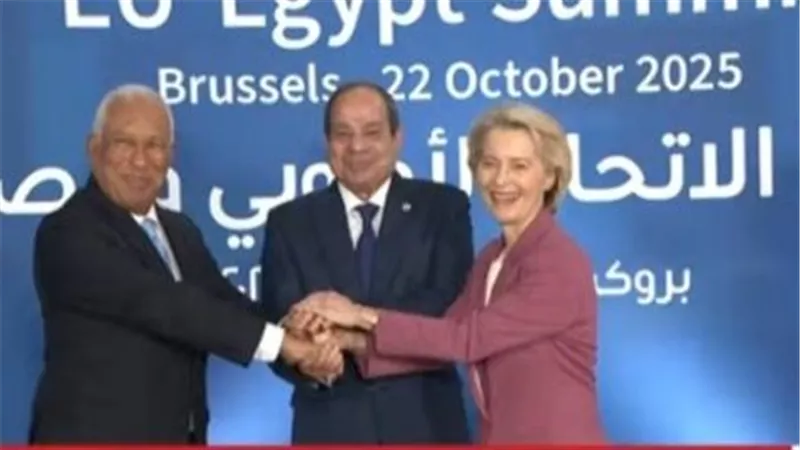 أستاذ اقتصاد: الرئيس السيسي يتبنى سياسة البحث عن الاستثمار وليس انتظاره|فيديو