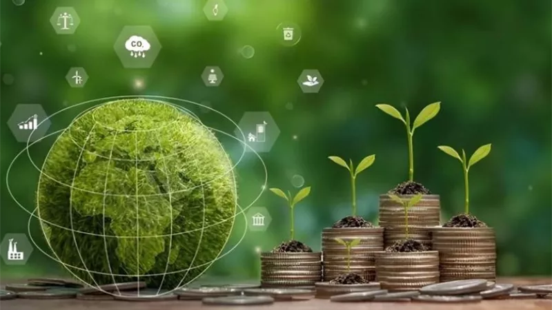 تمويلات خضراء بالمليارات.. كيف أصبحت الاستدامة أولوية البنوك في مصر؟