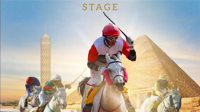 الأصالة تعانق التاريخ.. القاهرة تستضيف إحدى محطات كأس رئيس دولة الإمارات للخيول
