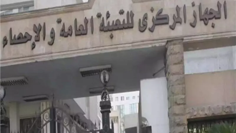 تراجع إنتاج الأرز بنسبة 19.5% خلال 2024