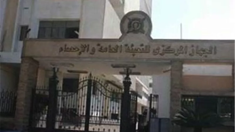 ارتفاع مساحة محصول البطاطس بنسبة 9.7% والإنتاج يتجاوز 9.6 ملايين طن في 2023