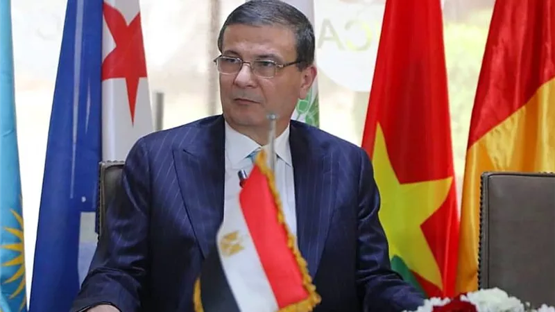 وزير الزراعة: شراكتنا مع أفريقيا ضرورة استراتيجية للأمن الغذائي