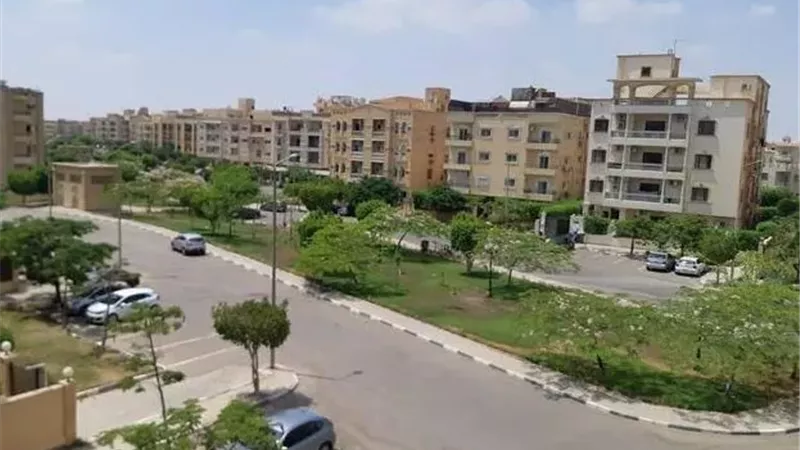 التحقيق مع ملاكم متهم بضرب أسرة في مشاجرة بالشيخ زايد 