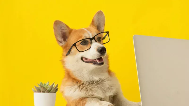 أداة Updog تحول من فكاهة لأداة ذكية.. لماذا أطلقتها Datadog؟