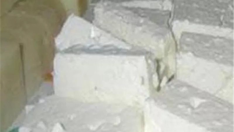 ضبط 600 كجم جبنة بيضاء غير صالحة للاستهلاك الآدمي بالخصوص
