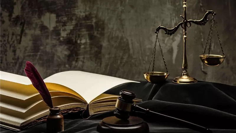 ما دور معهد المحاماة بالنسبة لأعضاء النقابة الجدد؟