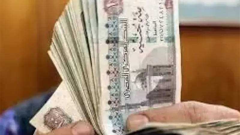 العصر الذهبي لذوي الإعاقة..  13 مليار جنيه دعم نقدي من التضامن
