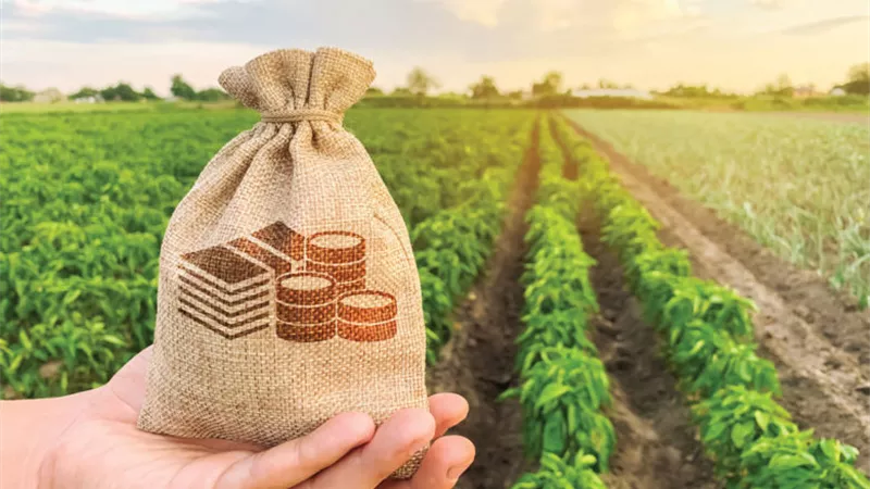 الزراعة التعاقدية.. خدمة جديدة لتأمين دخل الفلاح وتسويق المحاصيل بسهولة