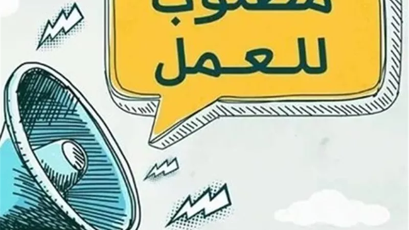 فرص عمل برواتب 9400 جنيه.. خطوات التقديم والشروط