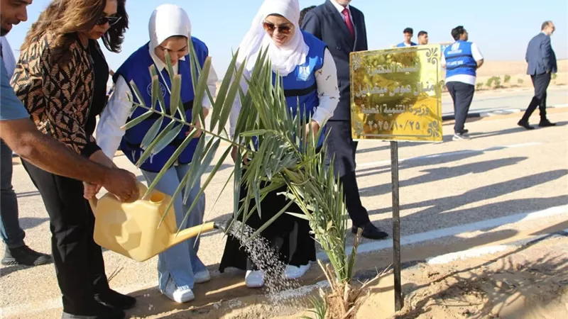 مبادرة 100 مليون شجرة تنطلق رسميا في الوادي الجديد