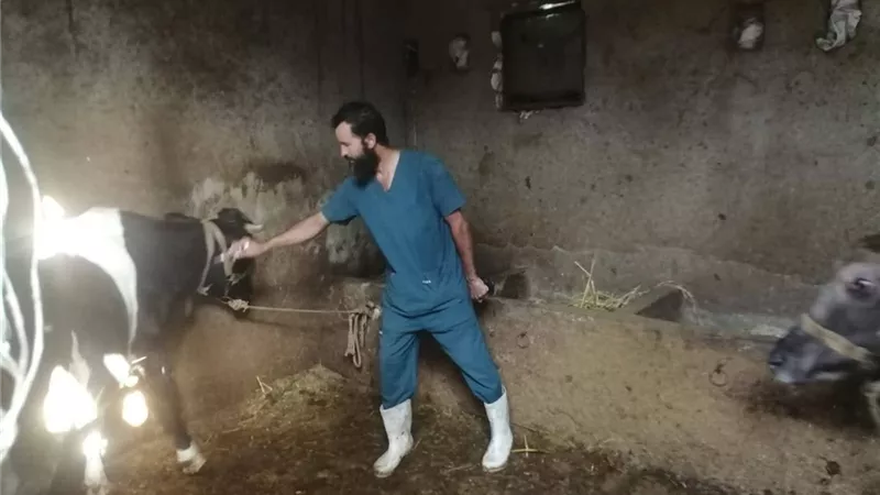 تحركات موسعة من الطب البيطري لتقصي الحالة الوبائية في كفر الشيخ