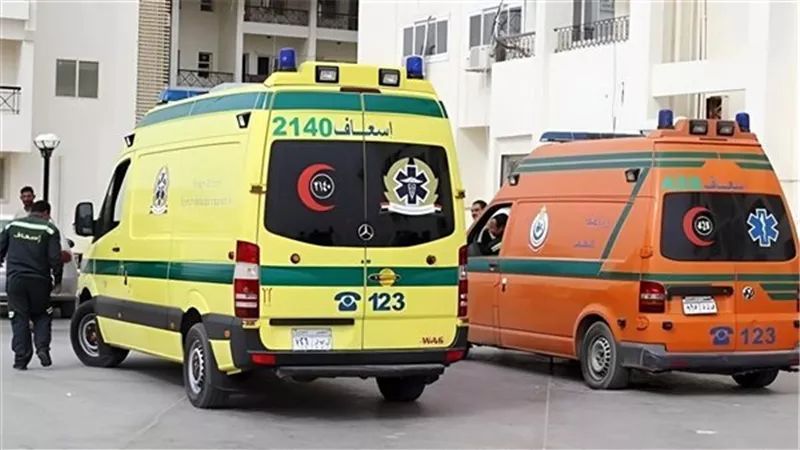 طعن شاب في مشاجرة بقرية عزبة البدوي بالدقهلية
