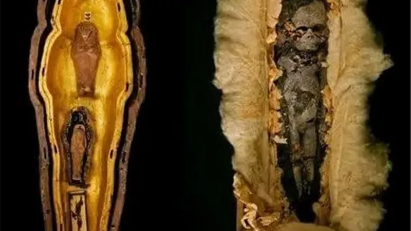 أجنة توت عنخ آمون تجذب الأنظار كأبرز كنوز المعروضات بالمتحف المصري الكبير