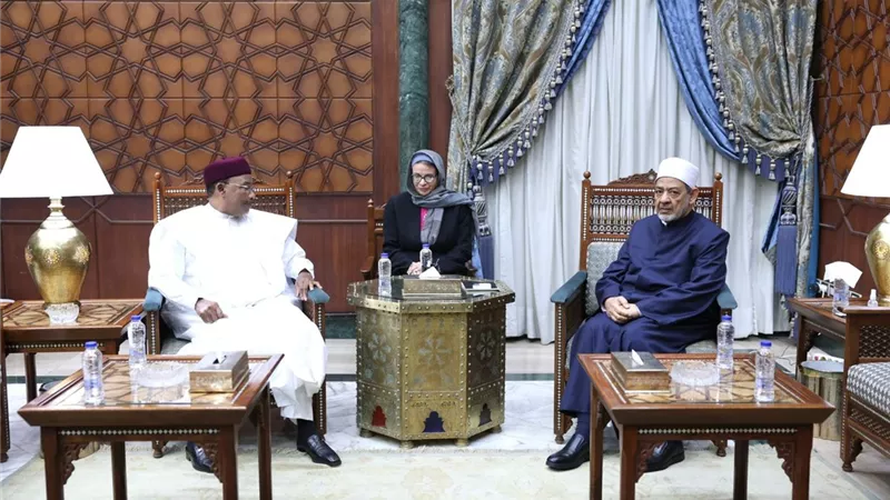 شيخ الأزهر يقترح تشكيل لجنة حكماء دينيين لإنهاء نزاعات القرن الإفريقي