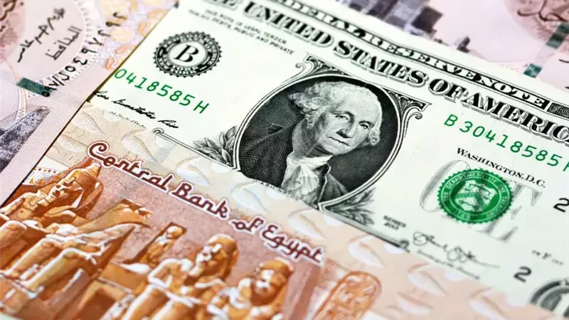 أعلى سعر صرف للدولار الآن مقابل الجنيه في البنوك المصرية 