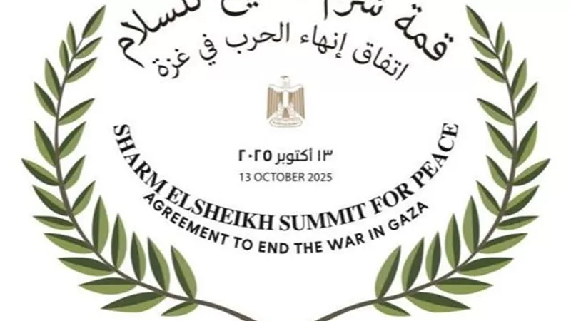 برلماني يشيد بالدور المصري 