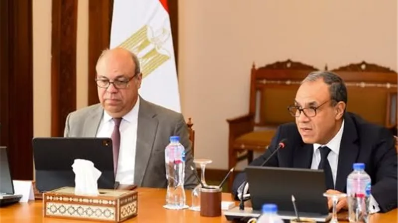 نقل خبرات وبرامج تدريبية متخصصة.. وزير الخارجية يستعرض تطور الطيران المدني 