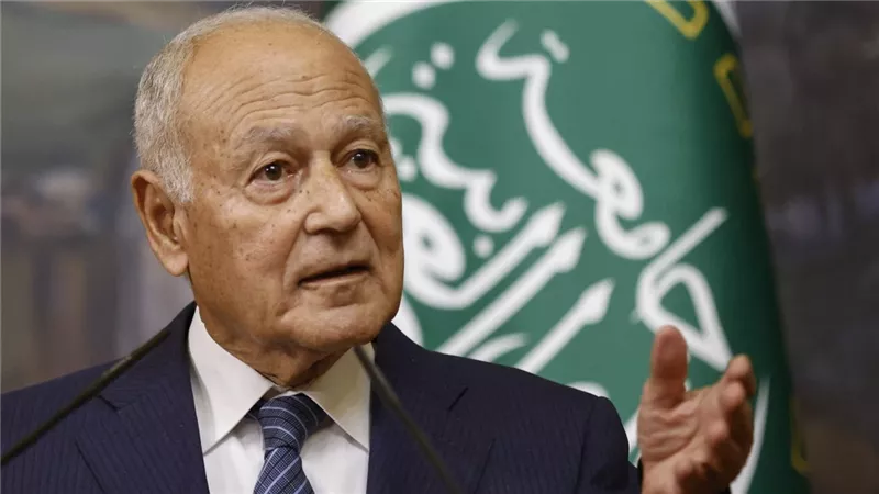 أبو الغيط يطالب لجنة السلام بتوفير الموارد والأموال لإعادة إعمار غزة|فيديو