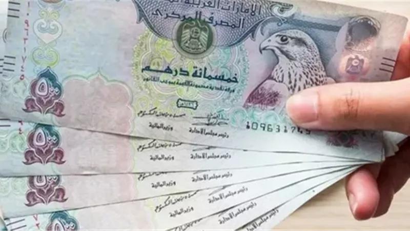 الدرهم الإماراتي يسجل 12.96 جنيهًا أمام الجنيه في تعاملات الأحد