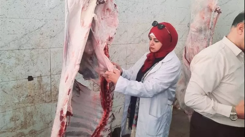زيارات ميدانية للمجازر ومتابعة أعمال الذبح في الشرقية |صور