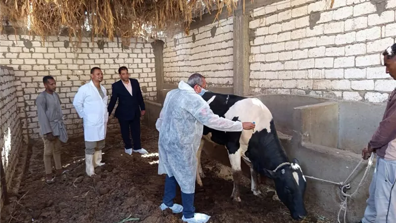 انطلاق الحملة الثالثة للتحصين ضد الحمى القلاعية والوادي المتصدع بالأقصر 