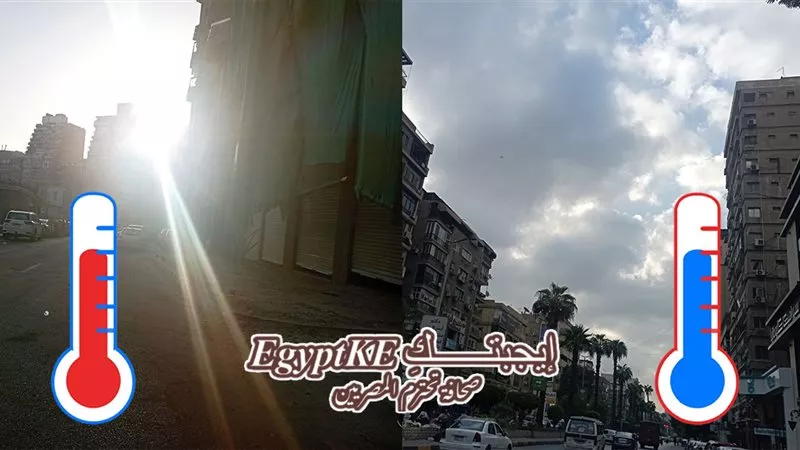 هل تخطط للسفر صباحًا؟.. الأرصاد تحذر من الضباب على الطرق السريعة