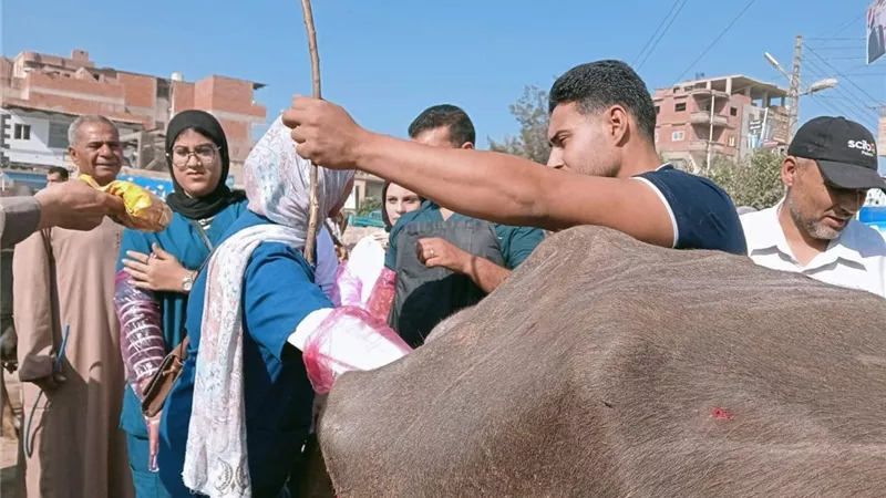 وكيل الطب البيطري في كفر الشيخ يتابع لجان التحصين ضد الحمى القلاعية